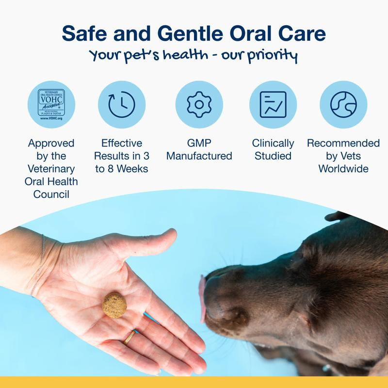 "ProDen PlaqueOff Dental Chews for Dogs – Soft Treats with Natural Kelp for Plaque & Bad Breath"